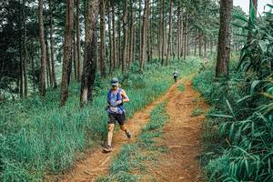 BIB: 
                            <button type="button" onclick="openModal(25656362)" class="btn btn-primary btn-sm float-right btn-popup" data-toggle="modal" data-target=".modal-high-quality">
                        <i class="fas fa-shopping-cart"></i> Add to Cart
                    </button>
                                            <button type="button" onclick="isThisMe(25656362, true)" class="btn btn-success btn-sm float-right btn-popup btn-isme hidden" data-toggle="tooltip" data-placement="bottom" title="นี่คือรูปของคุณใช่ไหม คลิกที่นี่เพื่อเอาเข้าอัลบั้ม">
                        <i class="fas fa-plus"></i> Add to album
                    </button>
                    <button type="button" onclick="isThisMe(25656362, false)" class="btn btn-warning btn-sm float-right btn-popup btn-isnotme hidden">
                        <i class="fas fa-ban"></i> Remove from album
                    </button>